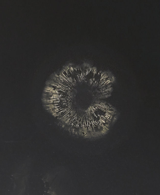 Kimia Kamvari, Untitled, 2017