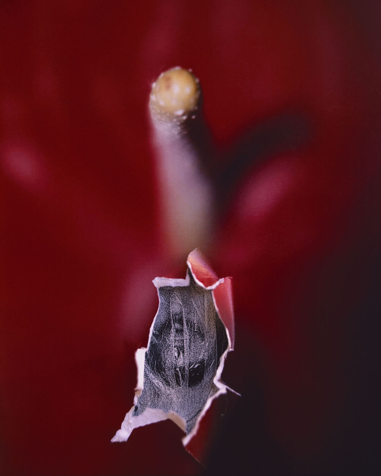 Alborz Kazemi, Untitled, 2016