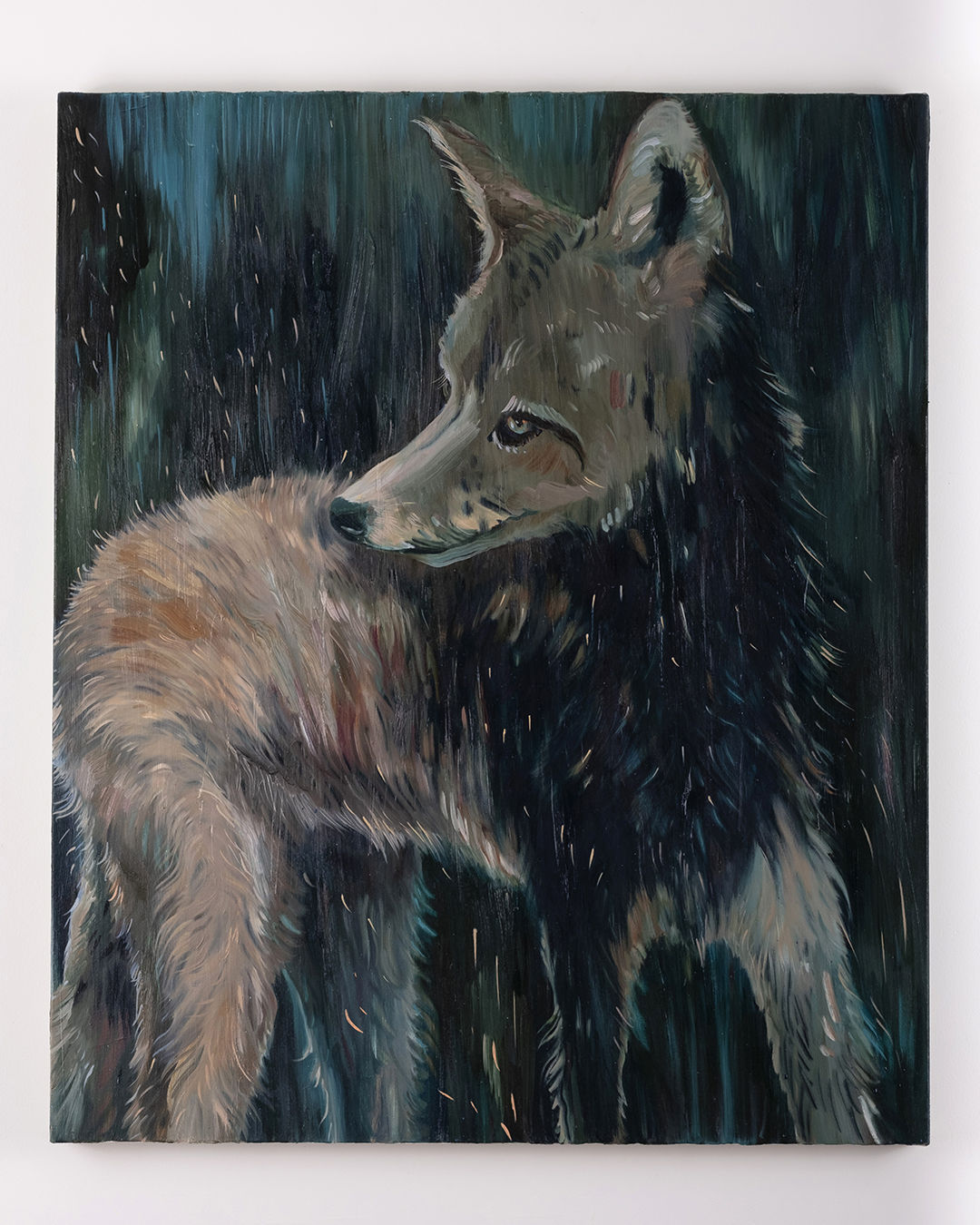 Sylvia Fernández, Amigo, 2025