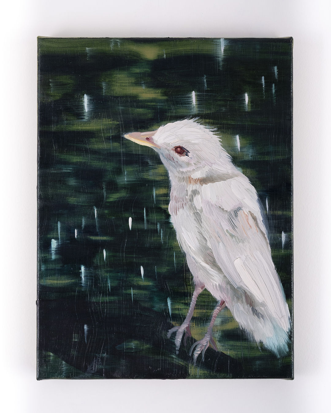 Sylvia Fernández, Missing you, 2025