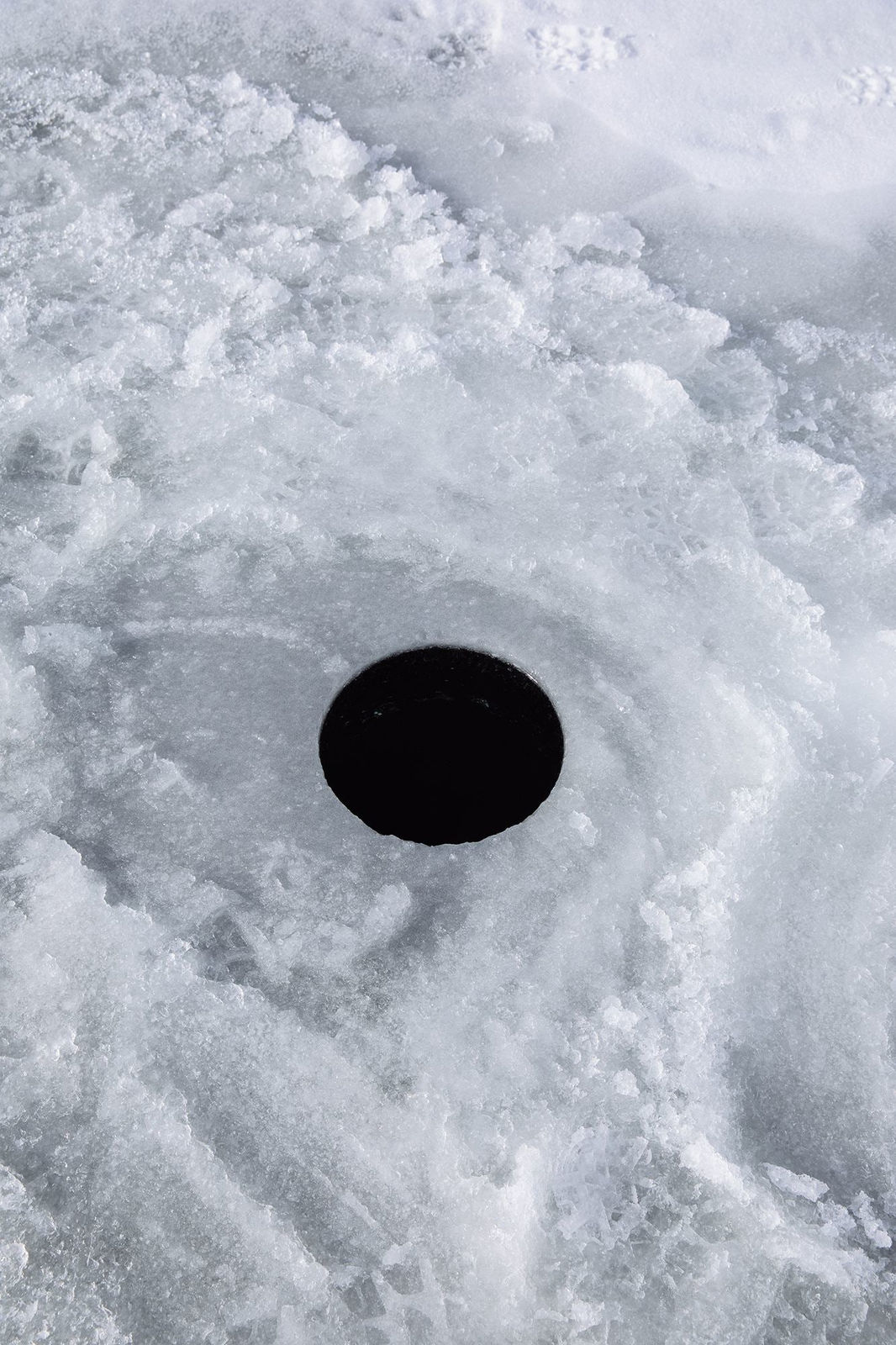 Mikayla Whitmore, The World's Blackest Black, 2018