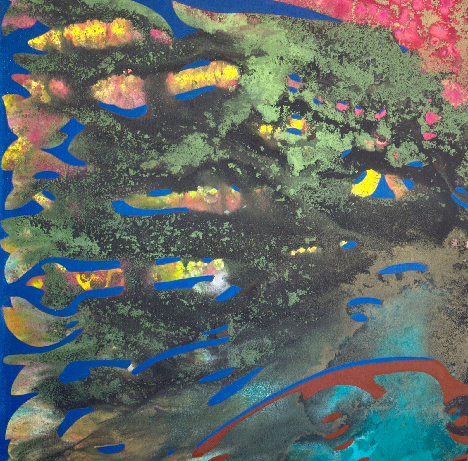 Vian Sora, The Sky from Below, 2024-25