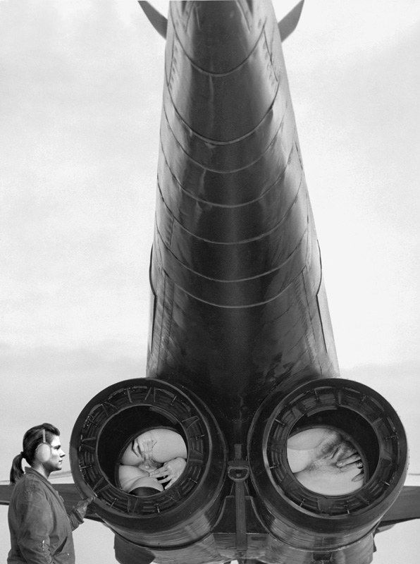 Jane Hammond, Friendly Beast, 2004-2005