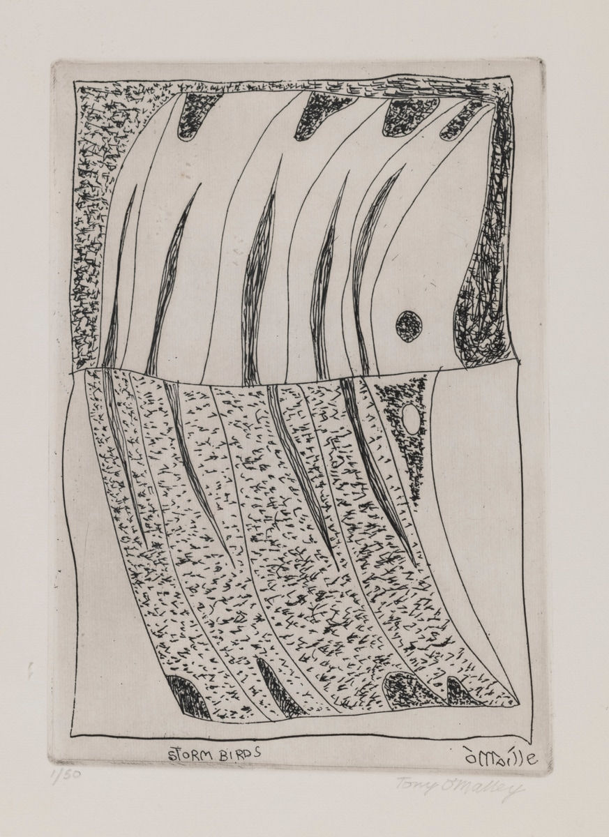 Tony O'Malley, Storm Birds