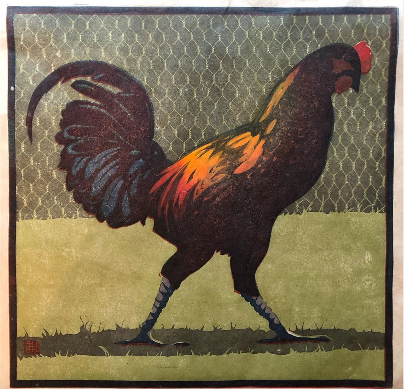 Steven Hubbard, Rooster, 2021