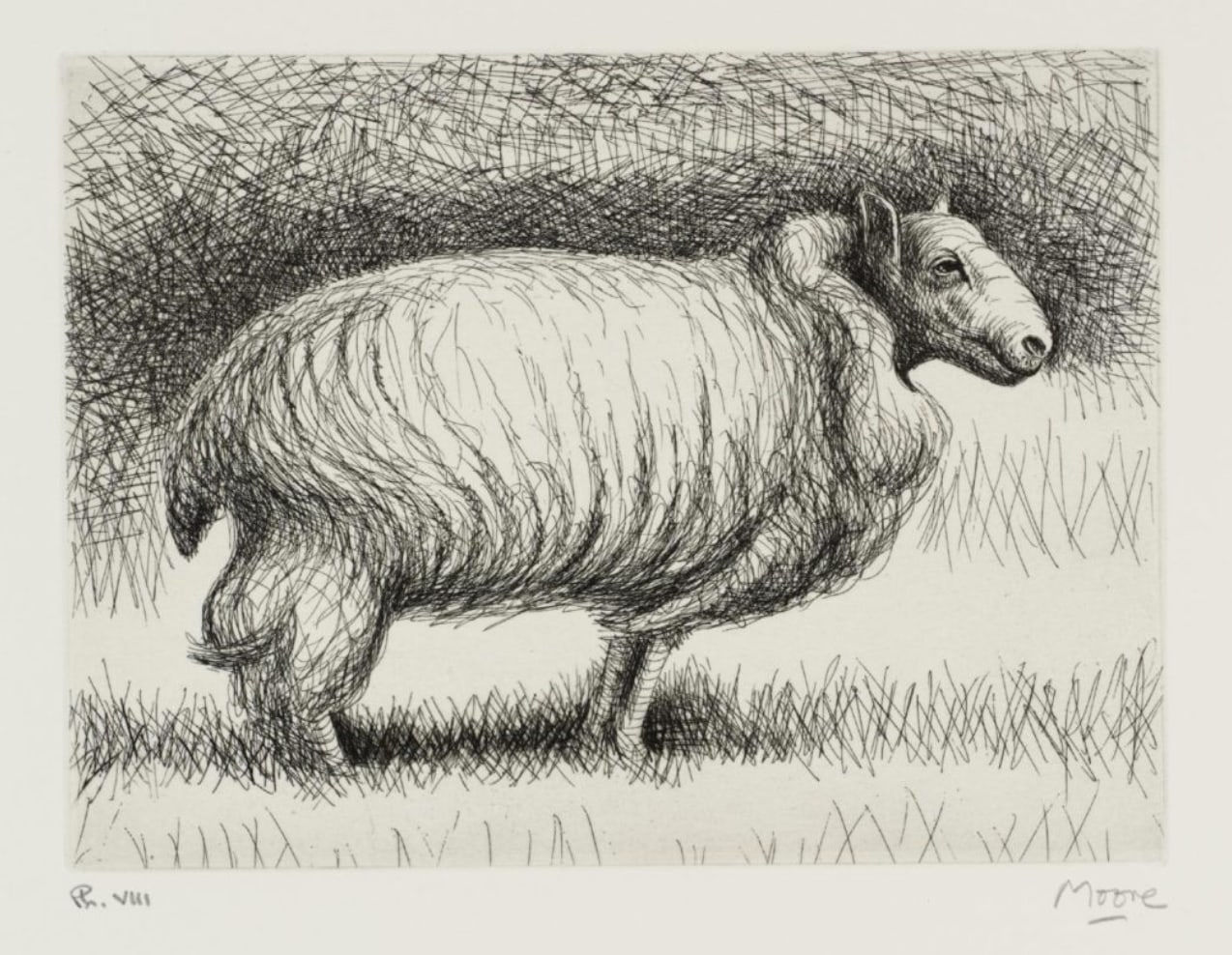 Henry Moore, The Show Sheep – Plate III, 1974
