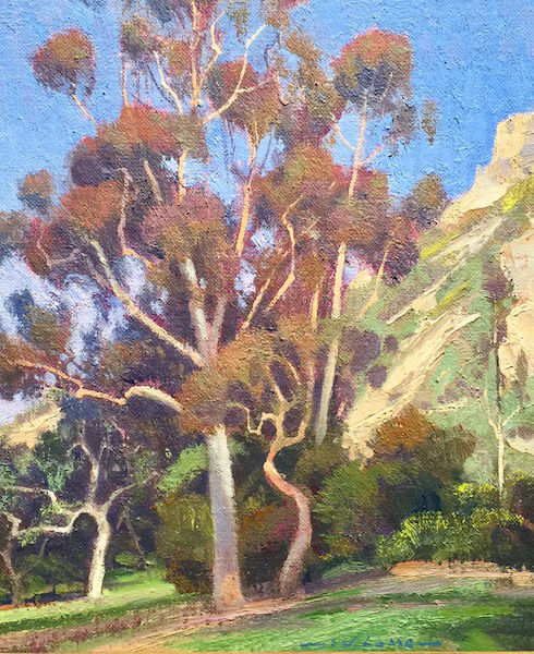 Jim Lamb, Morning Eucalyptus, 2017