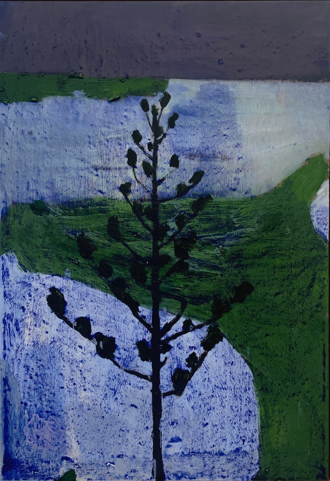 Peter Stevens, Coastal Pine I, 2023