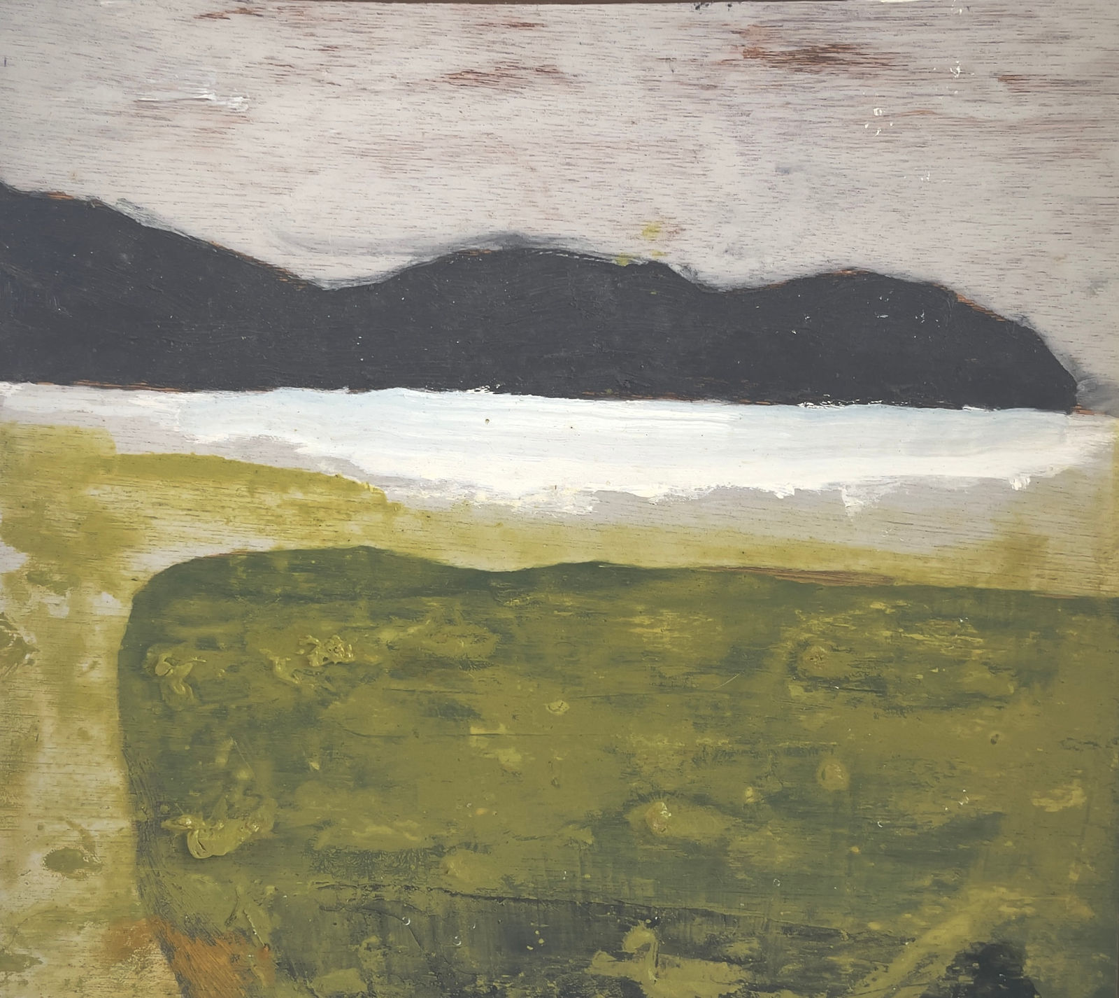 Peter Stevens, Tidal Landscape XII, 2024