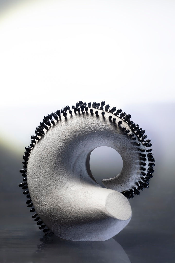 Kate Stehr, Phyllodocida I