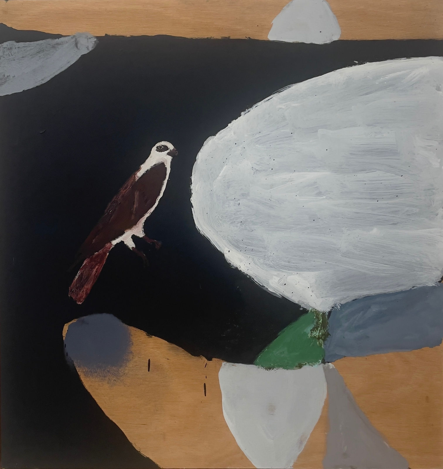 Peter Stevens, Brahminy Kite I, 2022