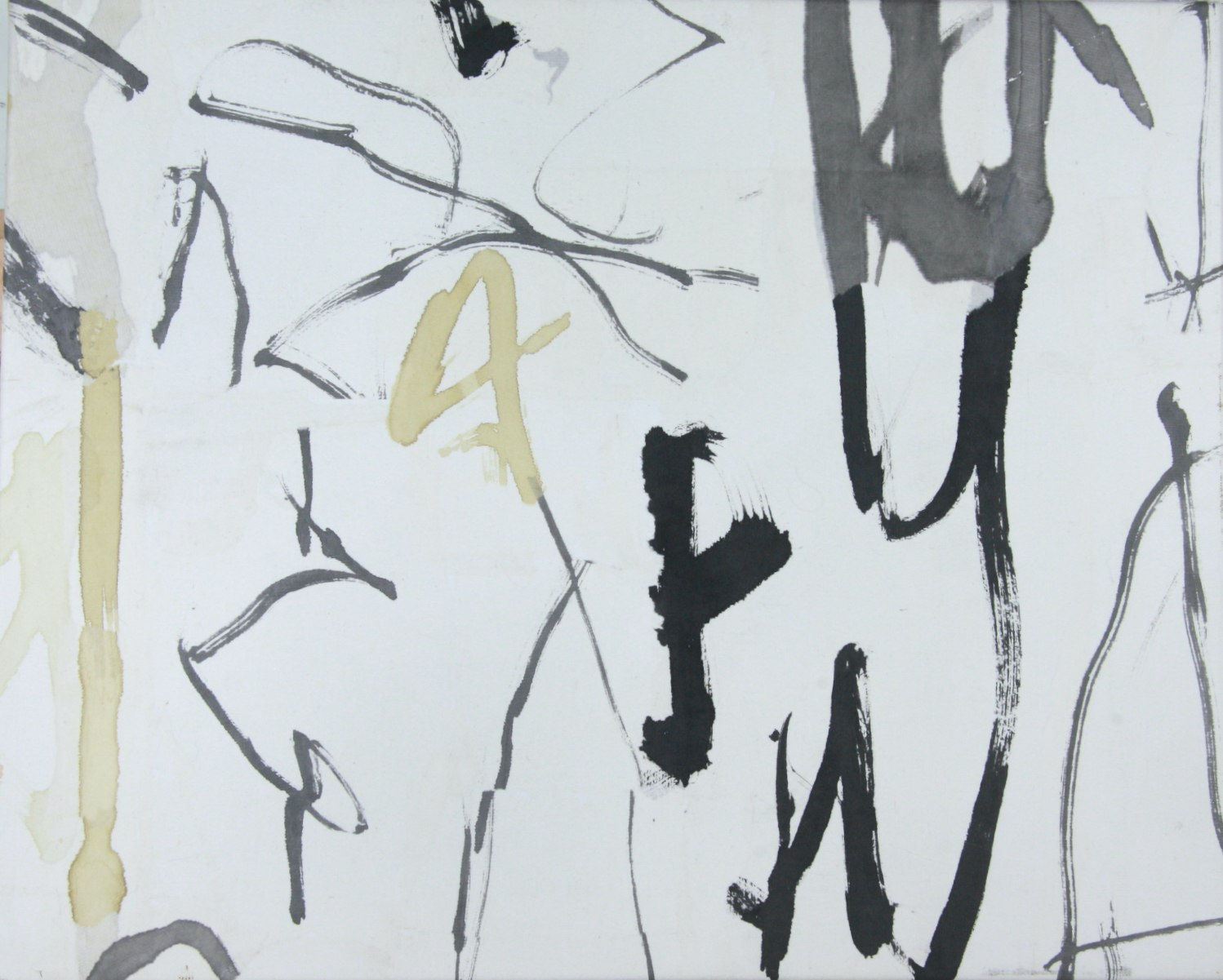 Ana Pollak, Bio Scrawl, 2023