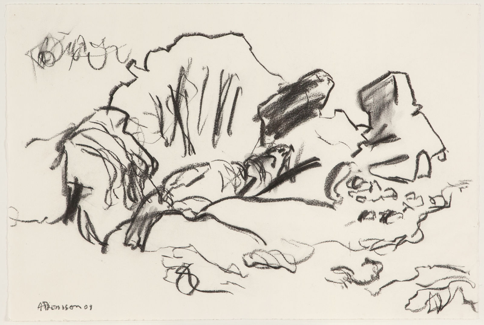 Ann Thomson, Seals and Rocks I, 2009