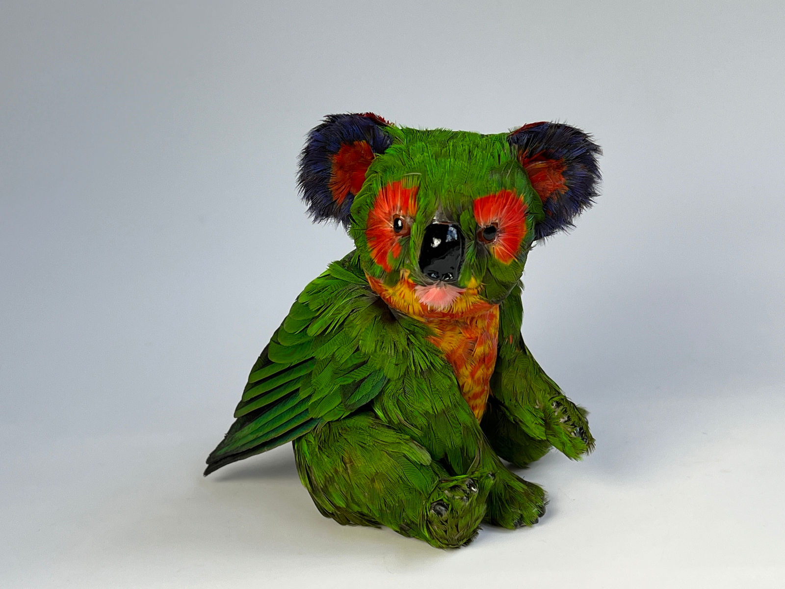 Emily Valentine, Lorikoala (sitting), 2025