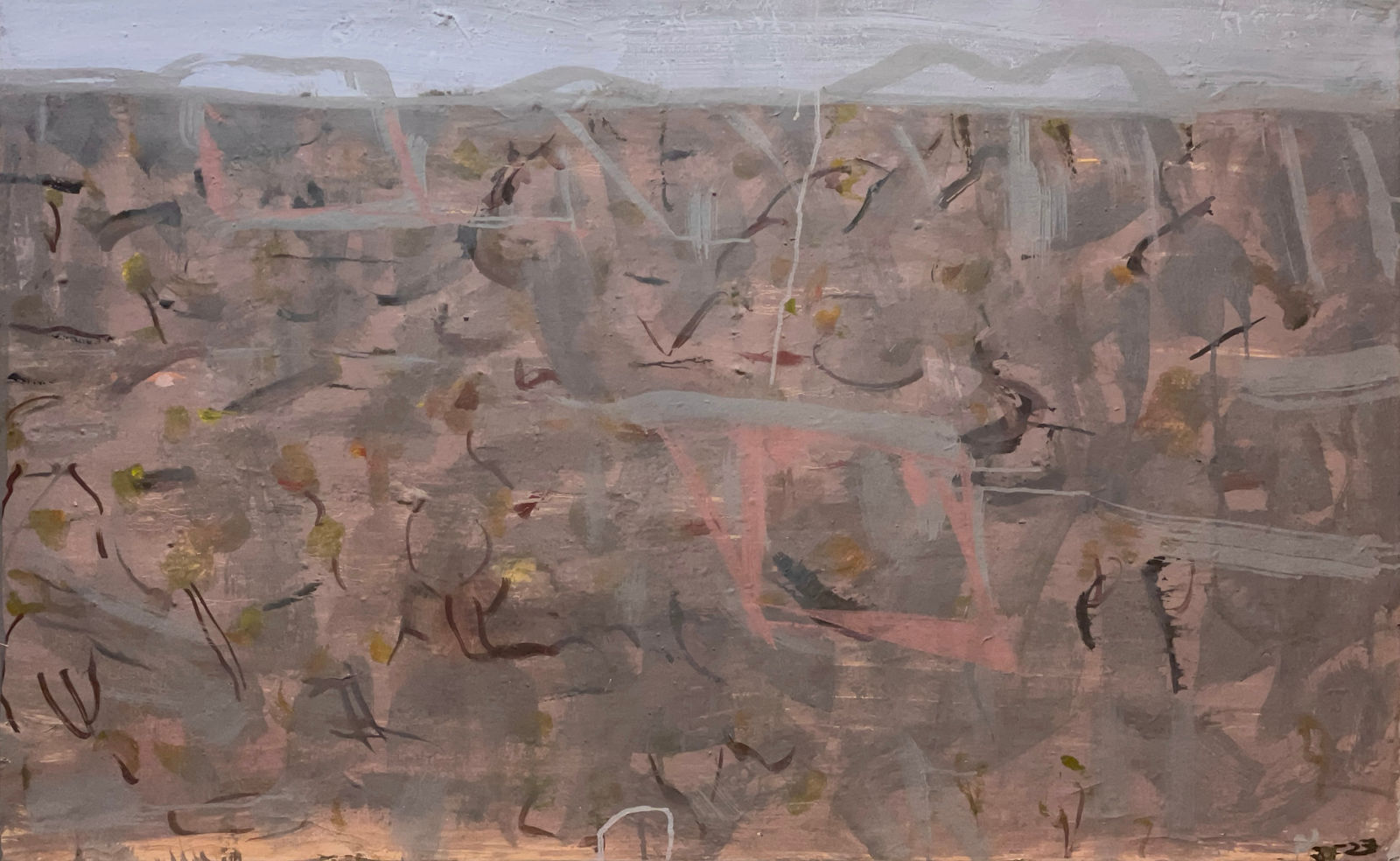 Joe Furlonger, Brigalow Box, Belah Western Downs, 2024