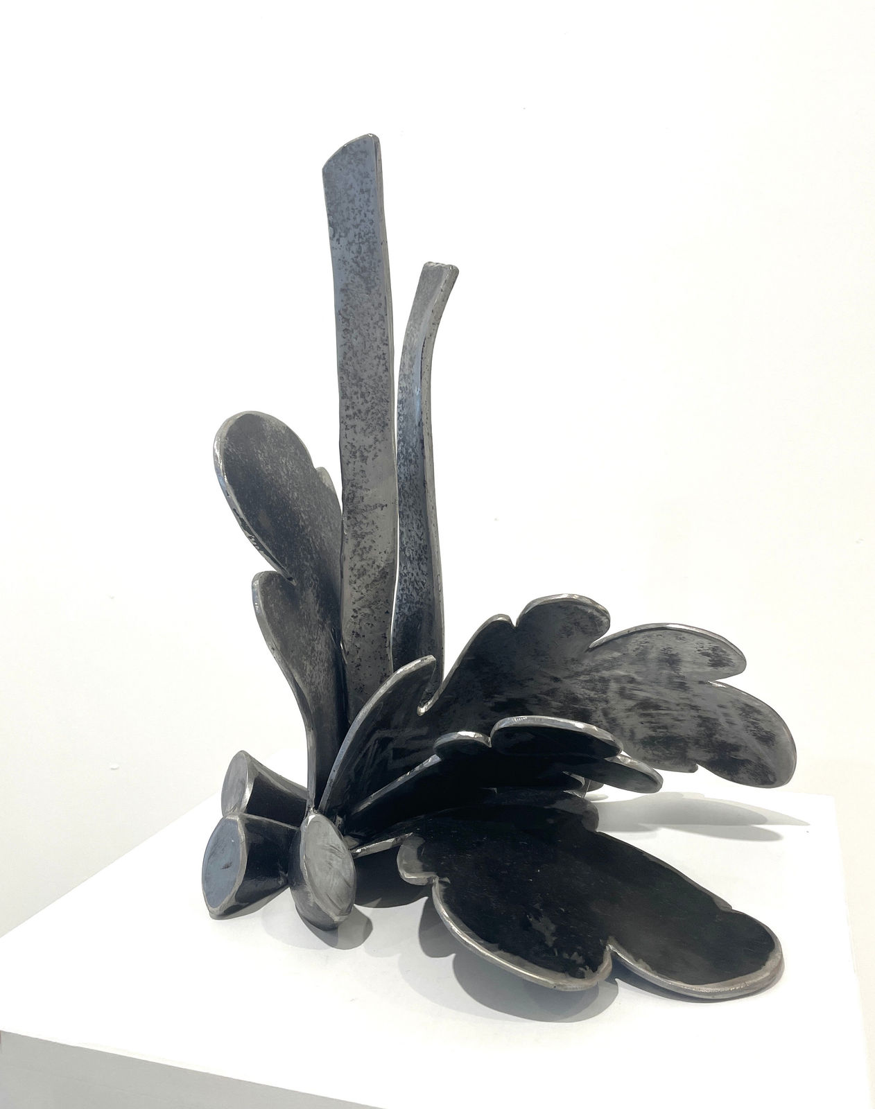 Jan King, Octopus’s Garden, 2025