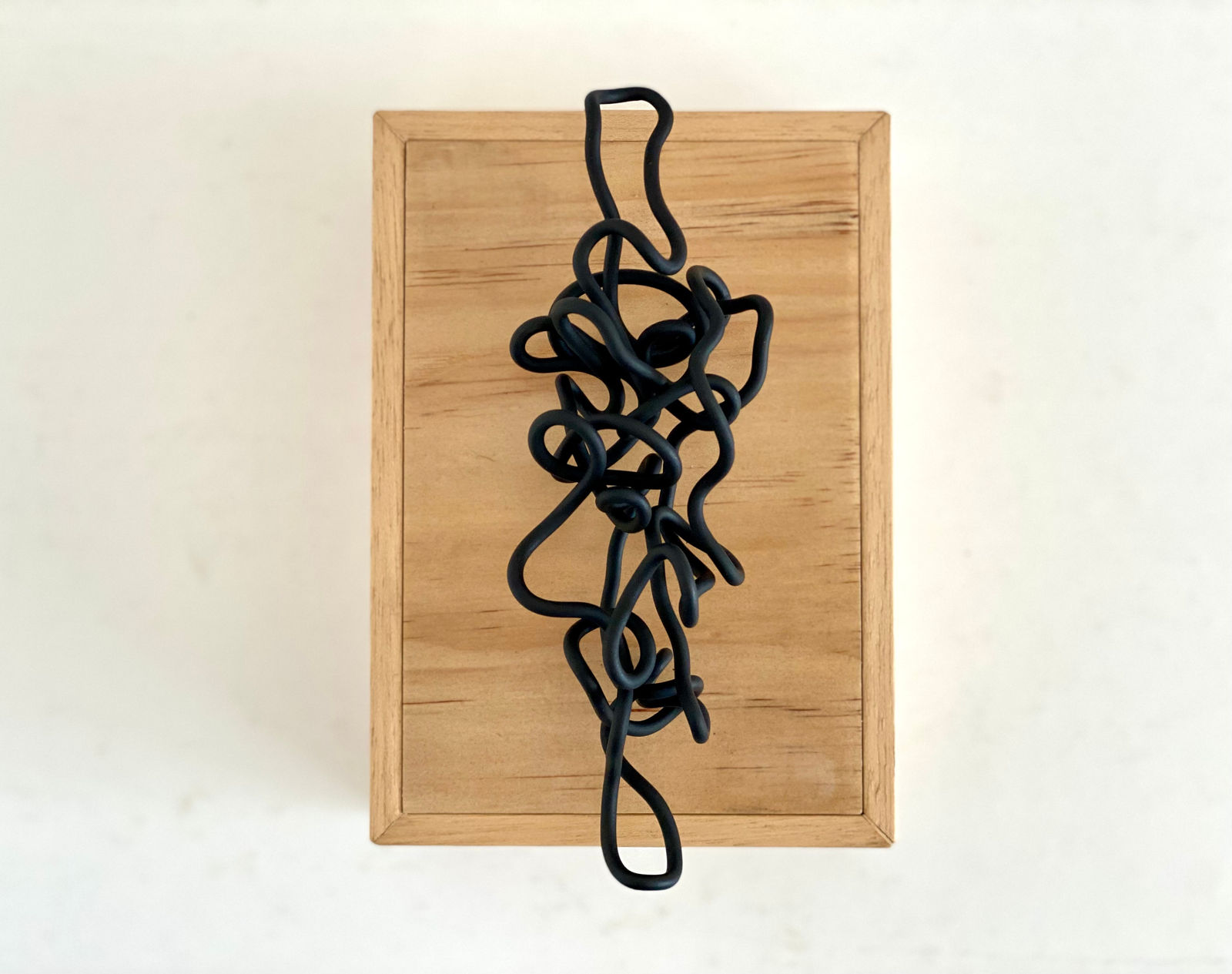 Tony Tozer, Entwined II