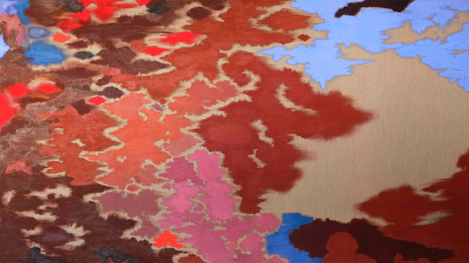 Anna Johnson, Sound and Vision, 2025