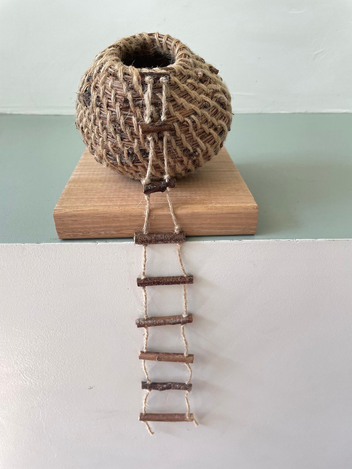 Paula Broom, Intervention