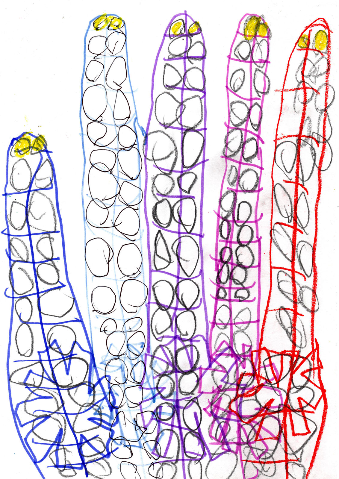 Mike Swaney, MS067/2022 Finger Family Understudy 27, 2022