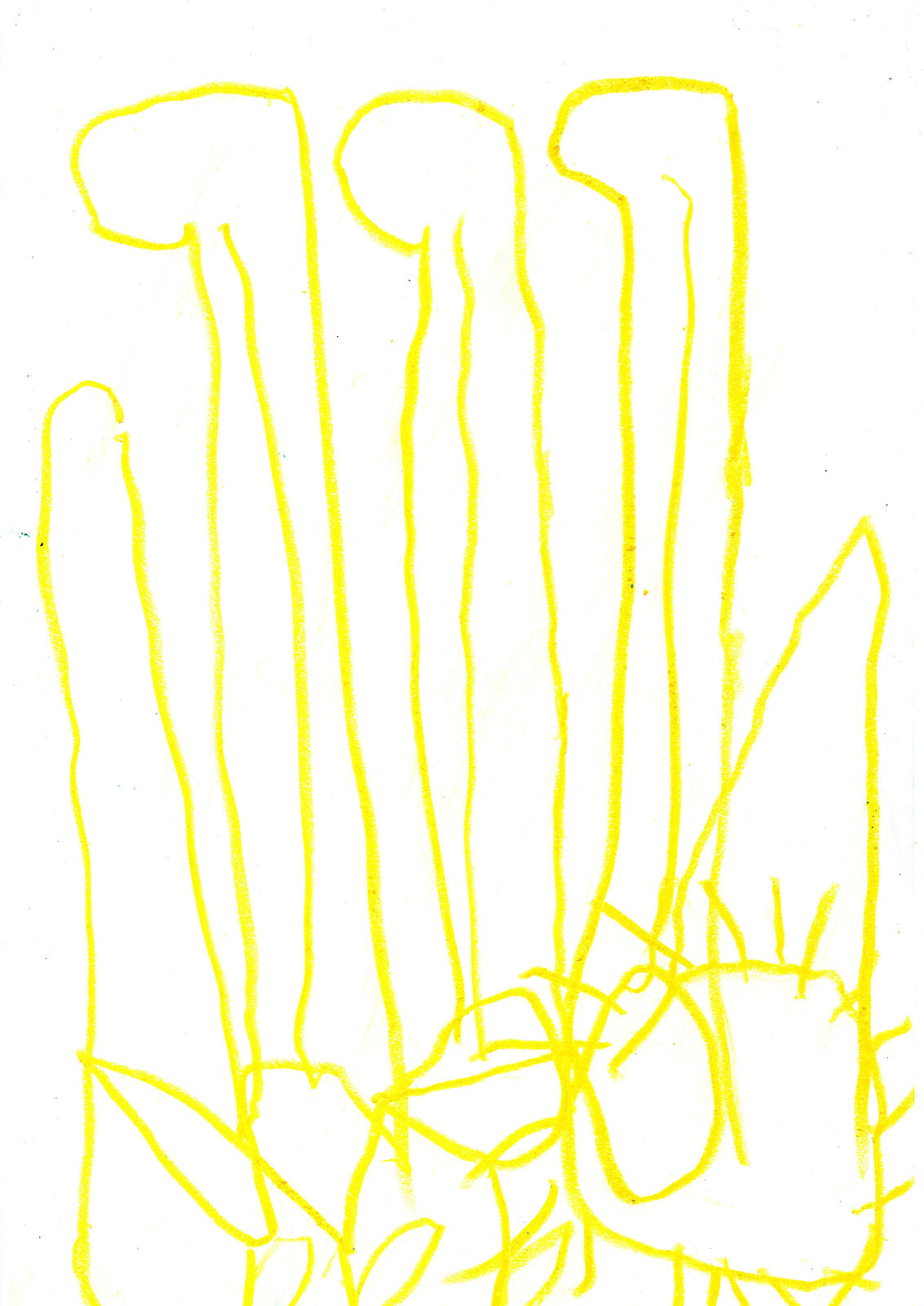 Mike Swaney, MS058/2022 Finger Family Understudy 18, 2022