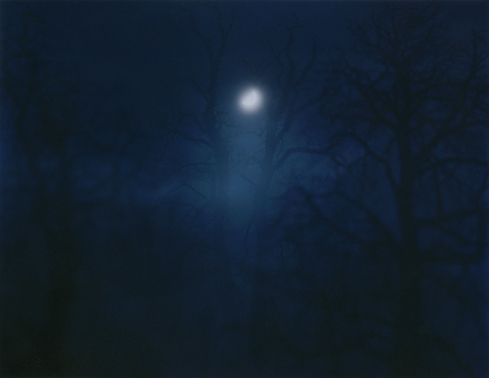 Nicholas Hughes, In Darkness Visible [Verse I, no. 12], 2007