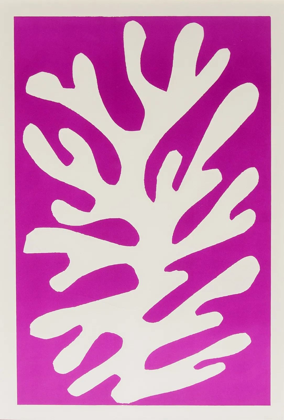 Henri Matisse, Algue Blanche sur fond Viole, 1960