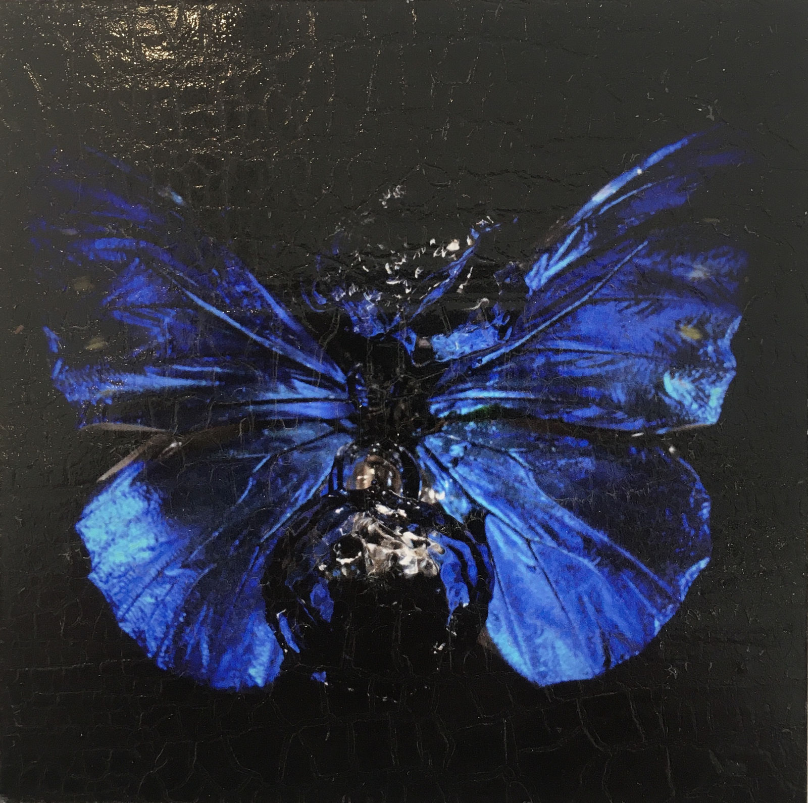 Alexander James Hamilton, The Mirror of the Goddess (1219-14), 2019