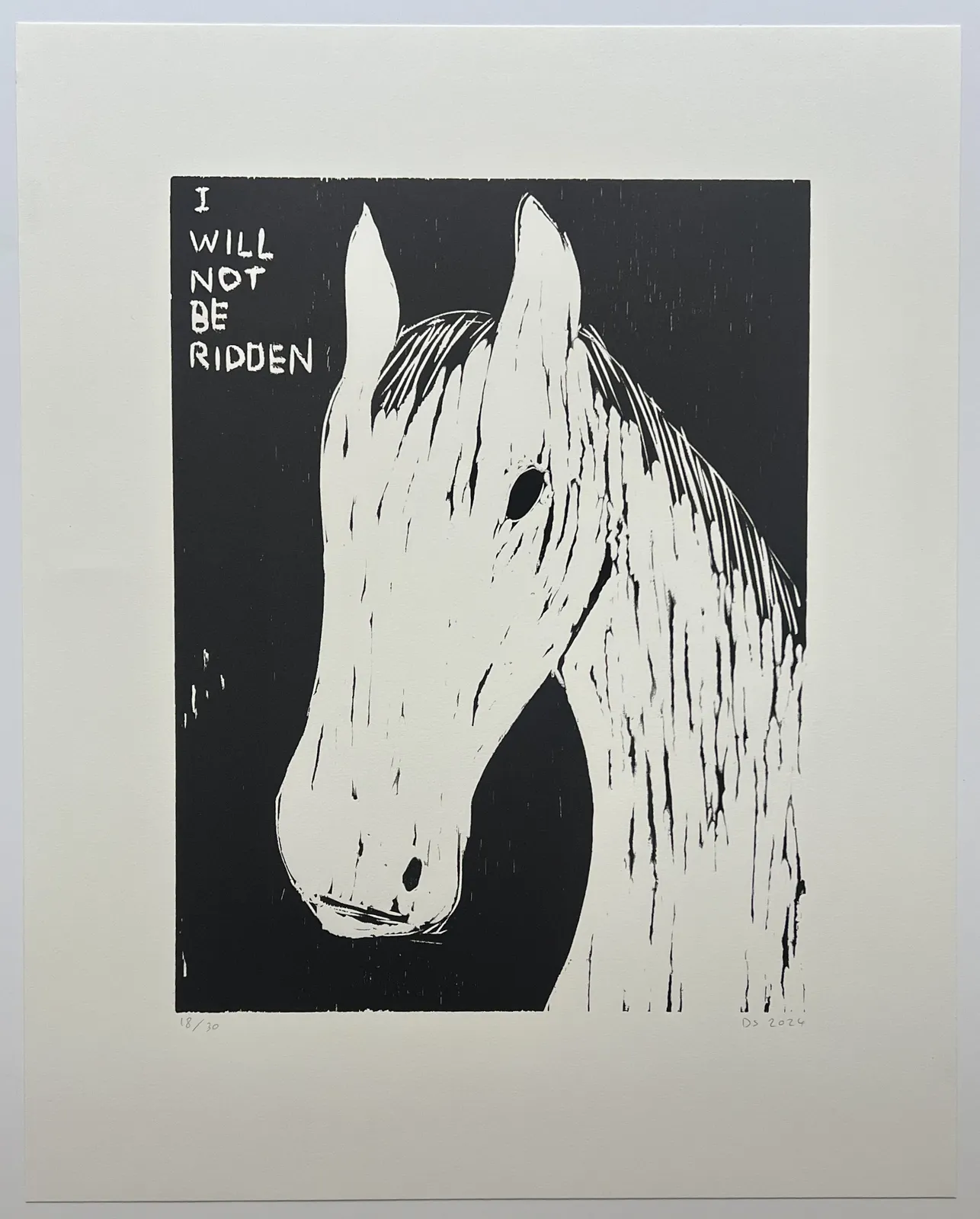 David Shrigley, I Will Not Be Ridden, 2024