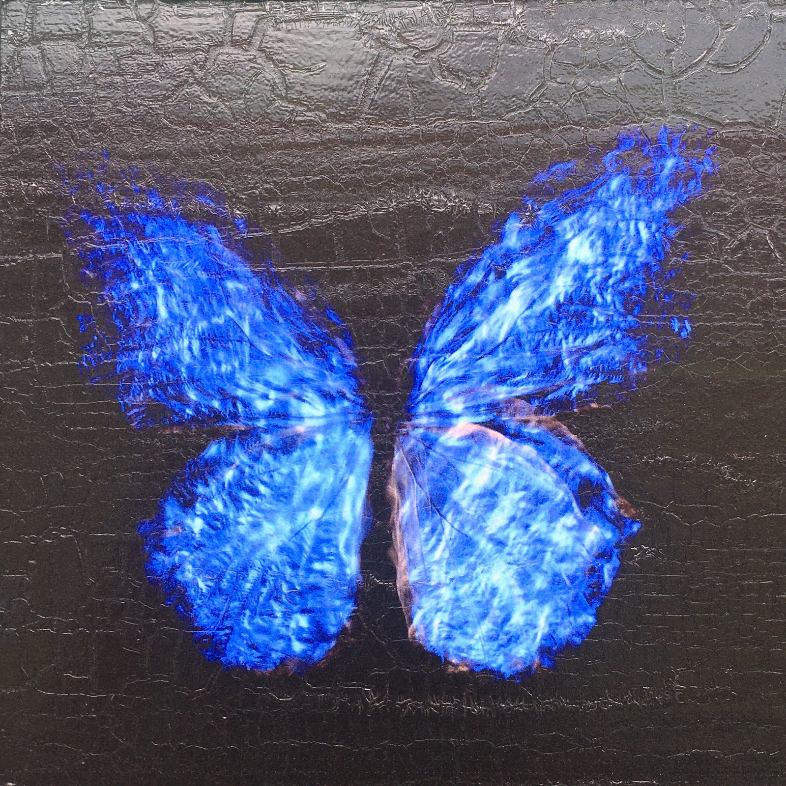 Alexander James Hamilton, Transparency of a Dream [2.0-II], 2019