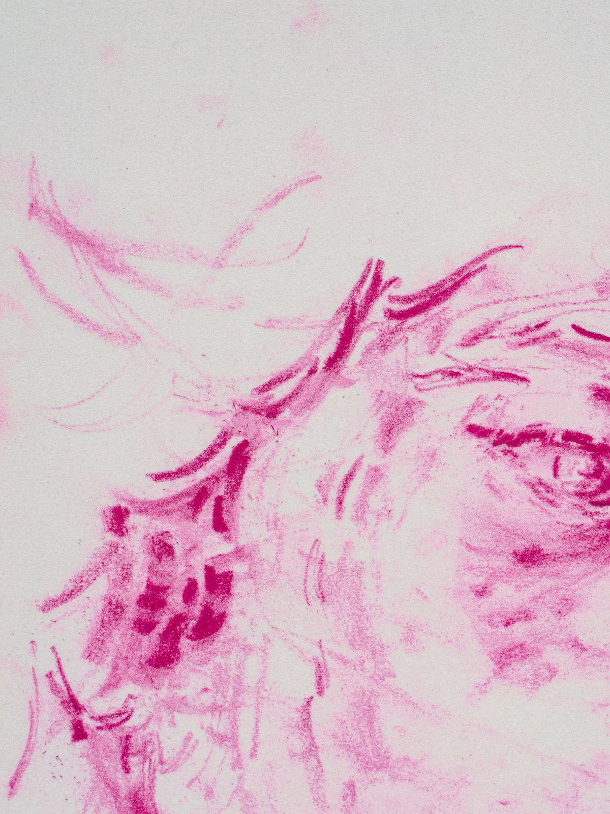 Elizabeth Peyton, Mai (Afterlife) after Sir Joshua Reynolds' Portrait of Mai (Omai), 2023