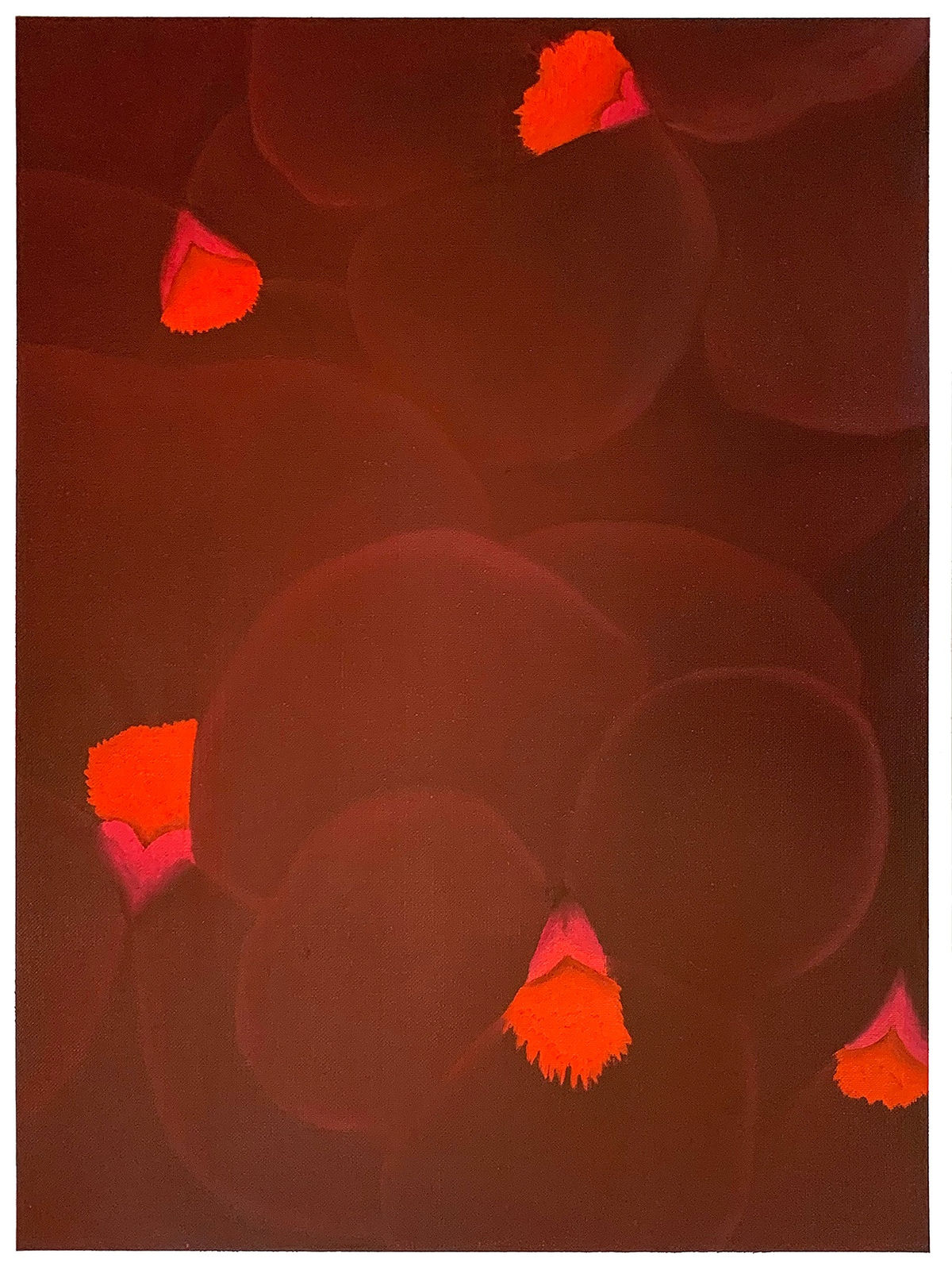 Jonas Vanderbeke, Pansies for Joe 16, 2022