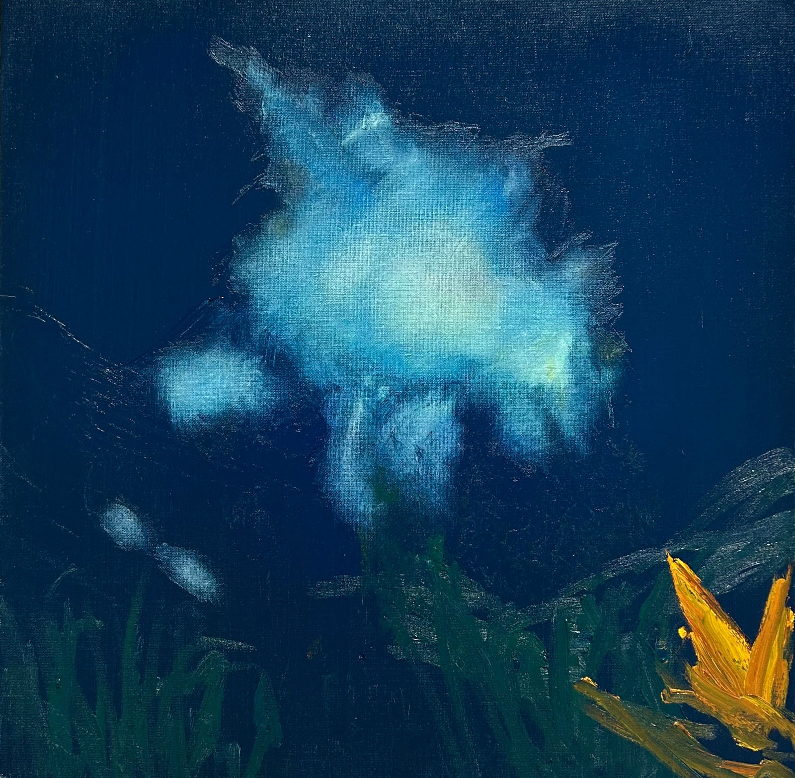 Samuel Lemba, Birds Flying High III, 2024