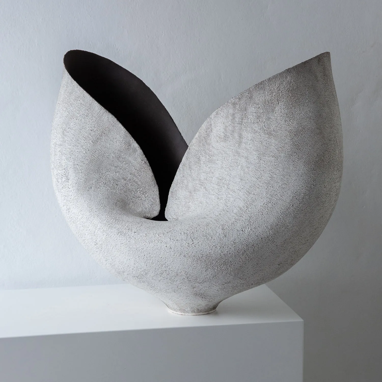 Todd Marshard, Large Tulip, 2026