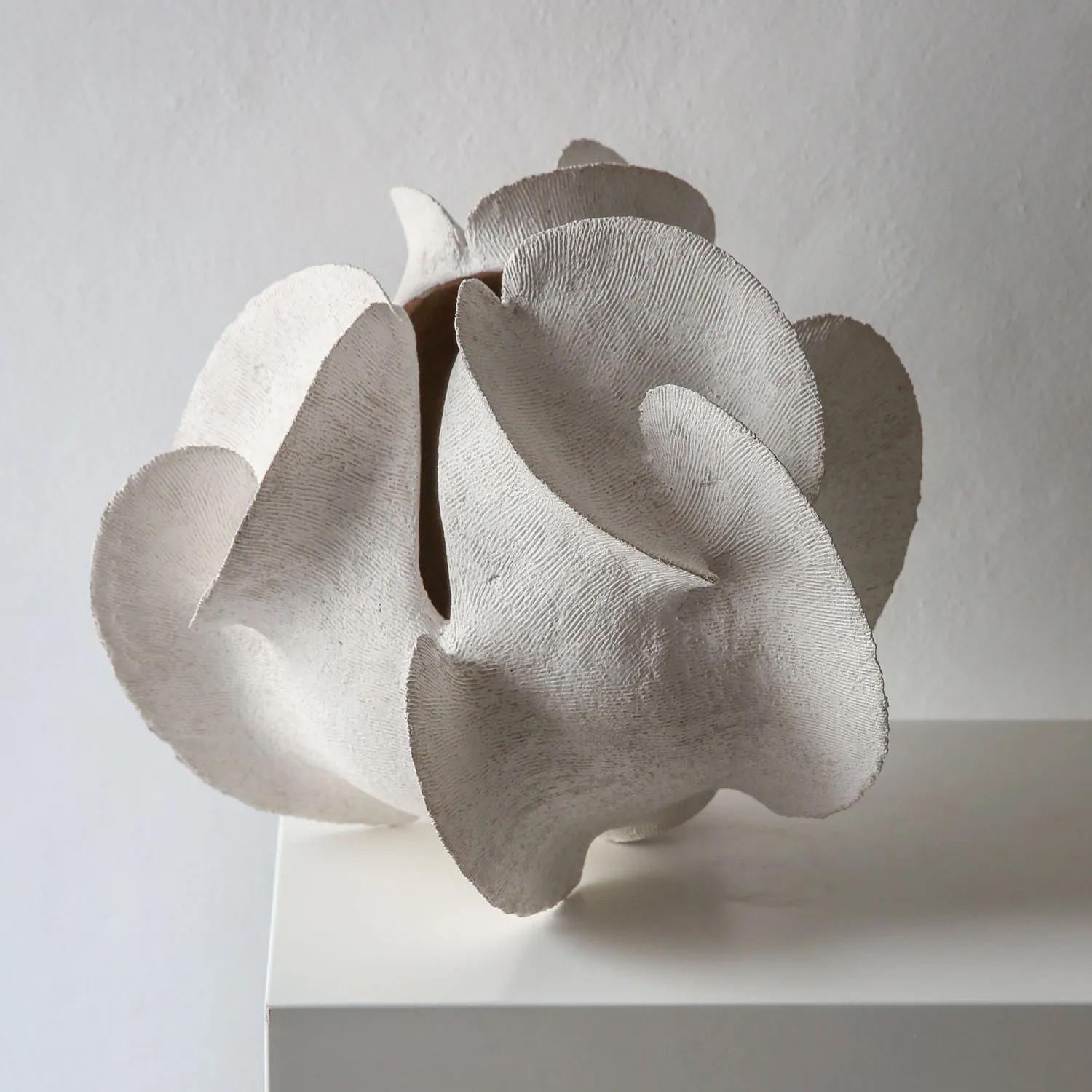 Todd Marshard, Medium 3 Clover, 2026