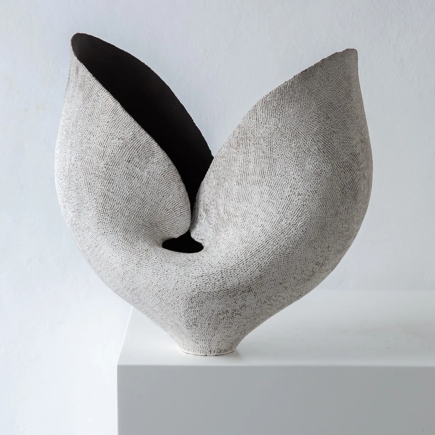 Todd Marshard, Medium Tulip, 2026