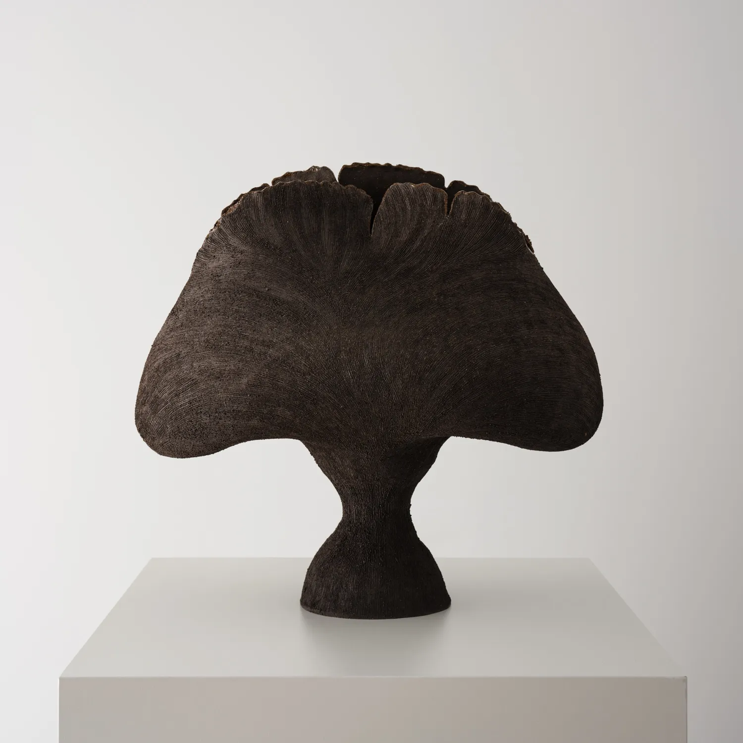 Tania Whalen, Biloba l, 2026