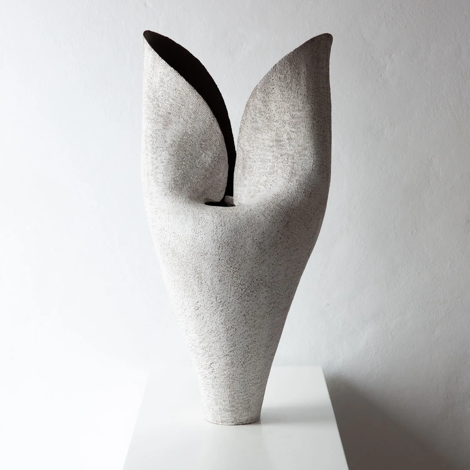 Todd Marshard, Tall Tulip, 2026