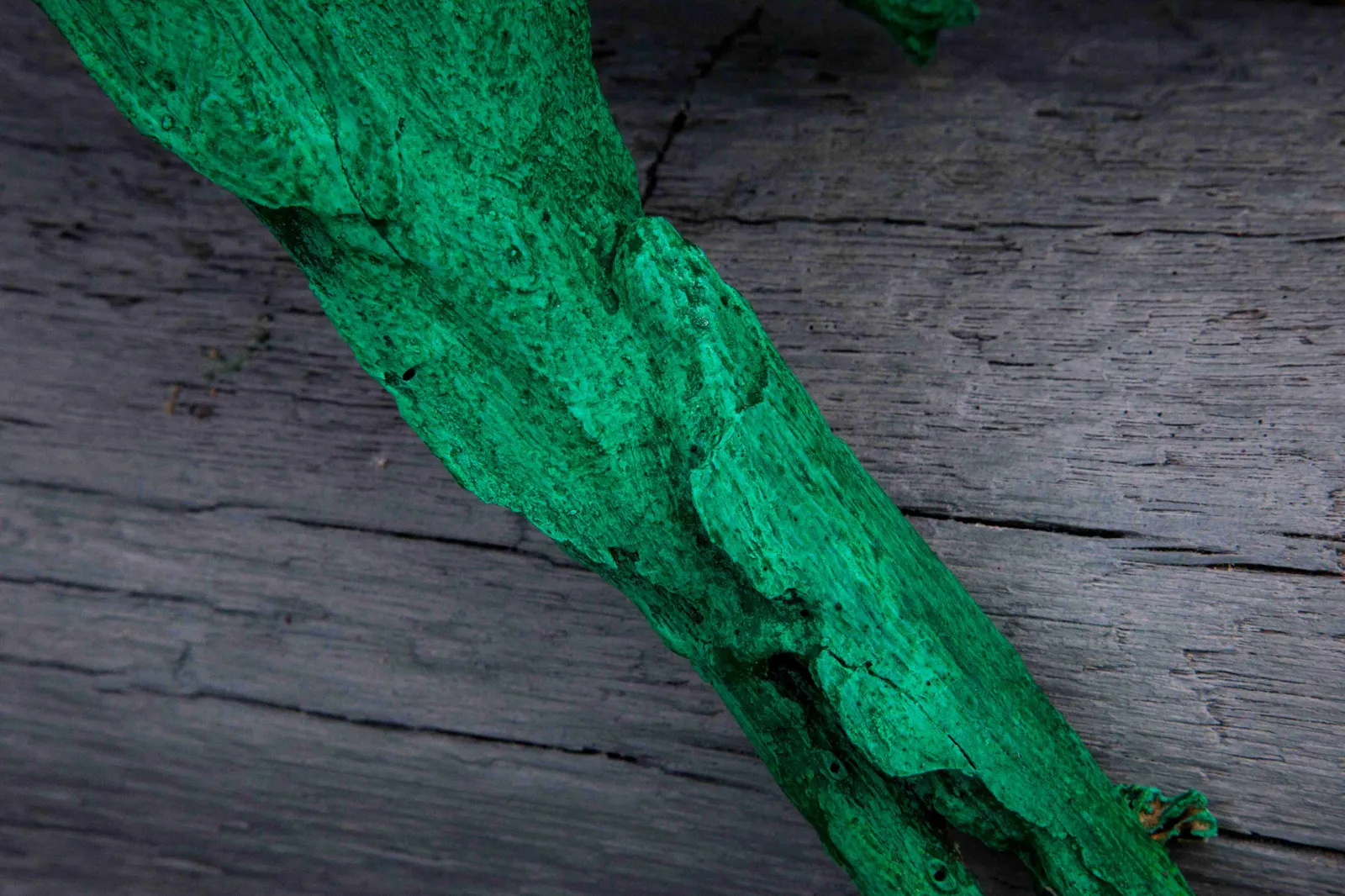 Vir Kotak, Untitled 2 (Kingdom of the Ocean, 1er Etage series), 2021