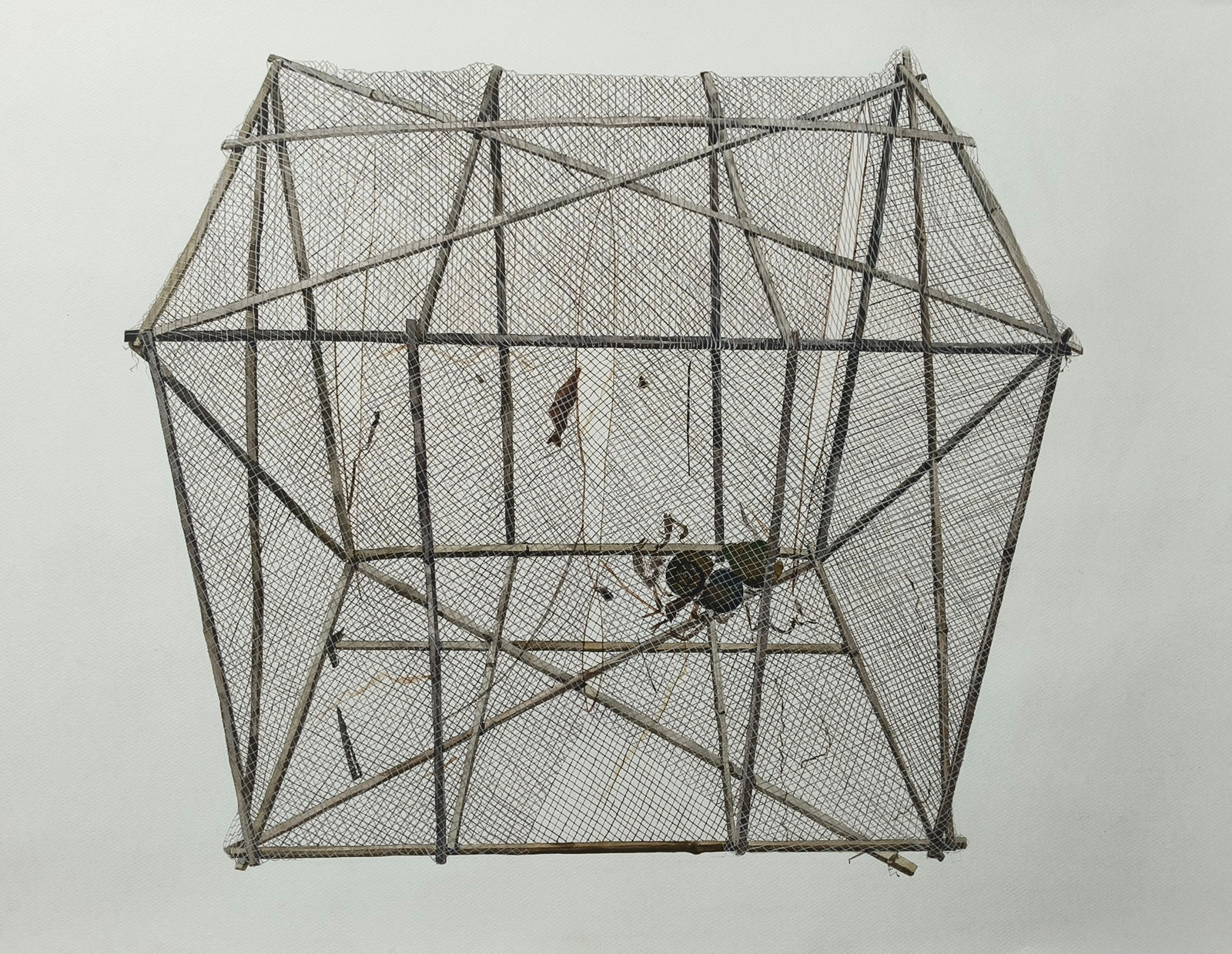 Sangita Das, The cage, 2024