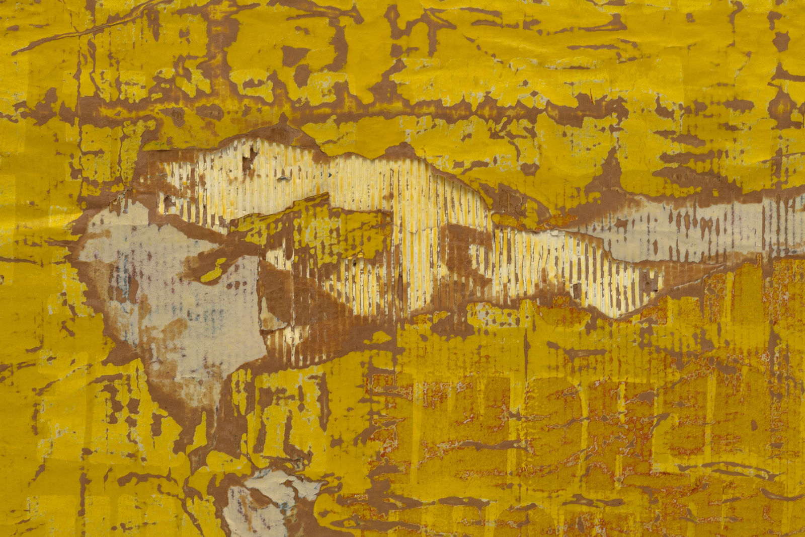 Edgar Ramirez, Paraiso, 2023