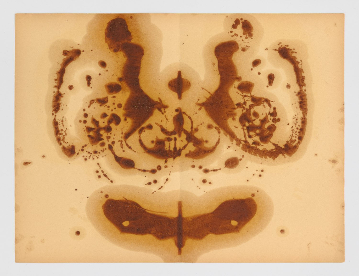 Ashanti Chaplin, Interior landscape (6), 2024