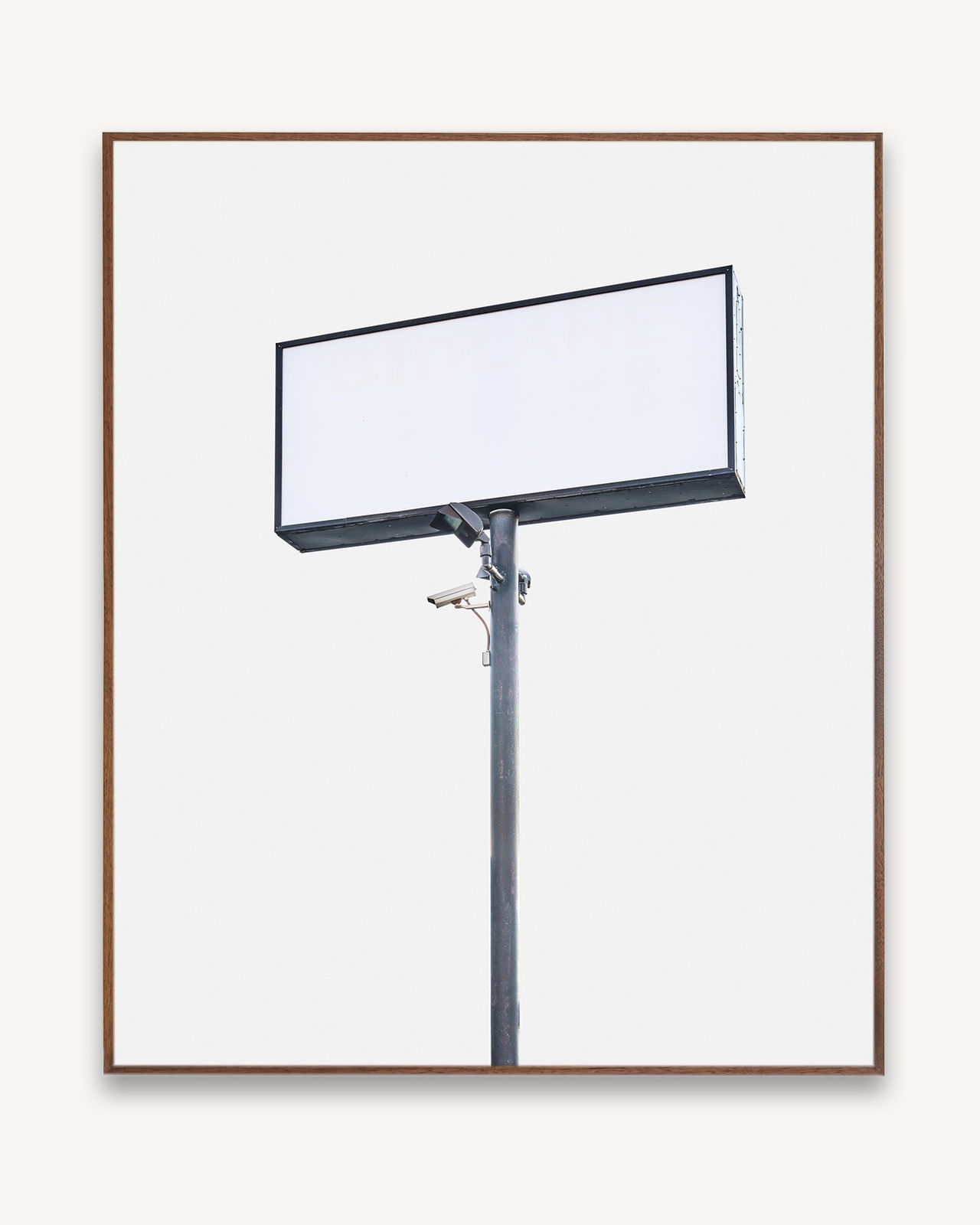 Amir Zaki, The Nurse, 2023