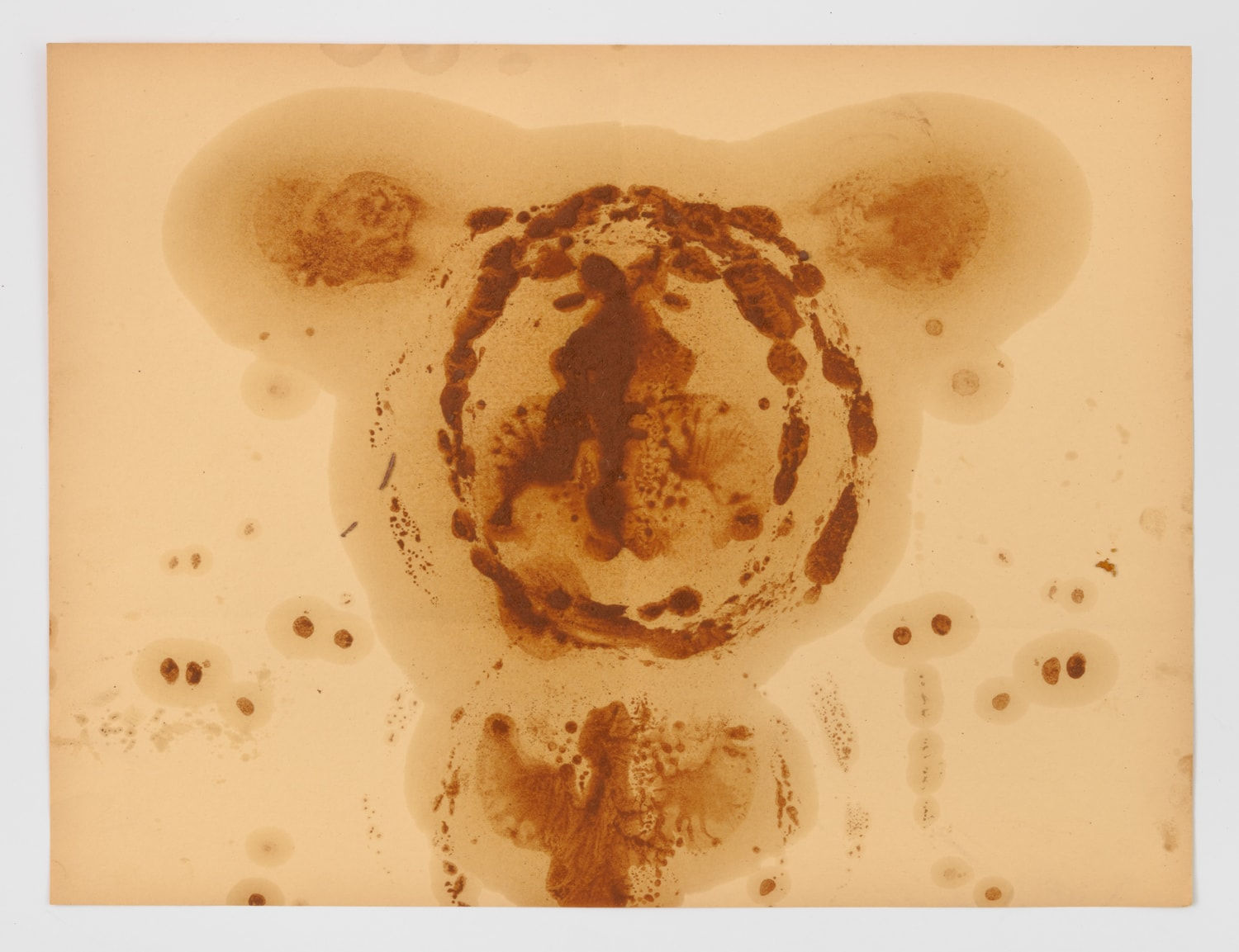 Ashanti Chaplin, Interior landscape (15), 2024