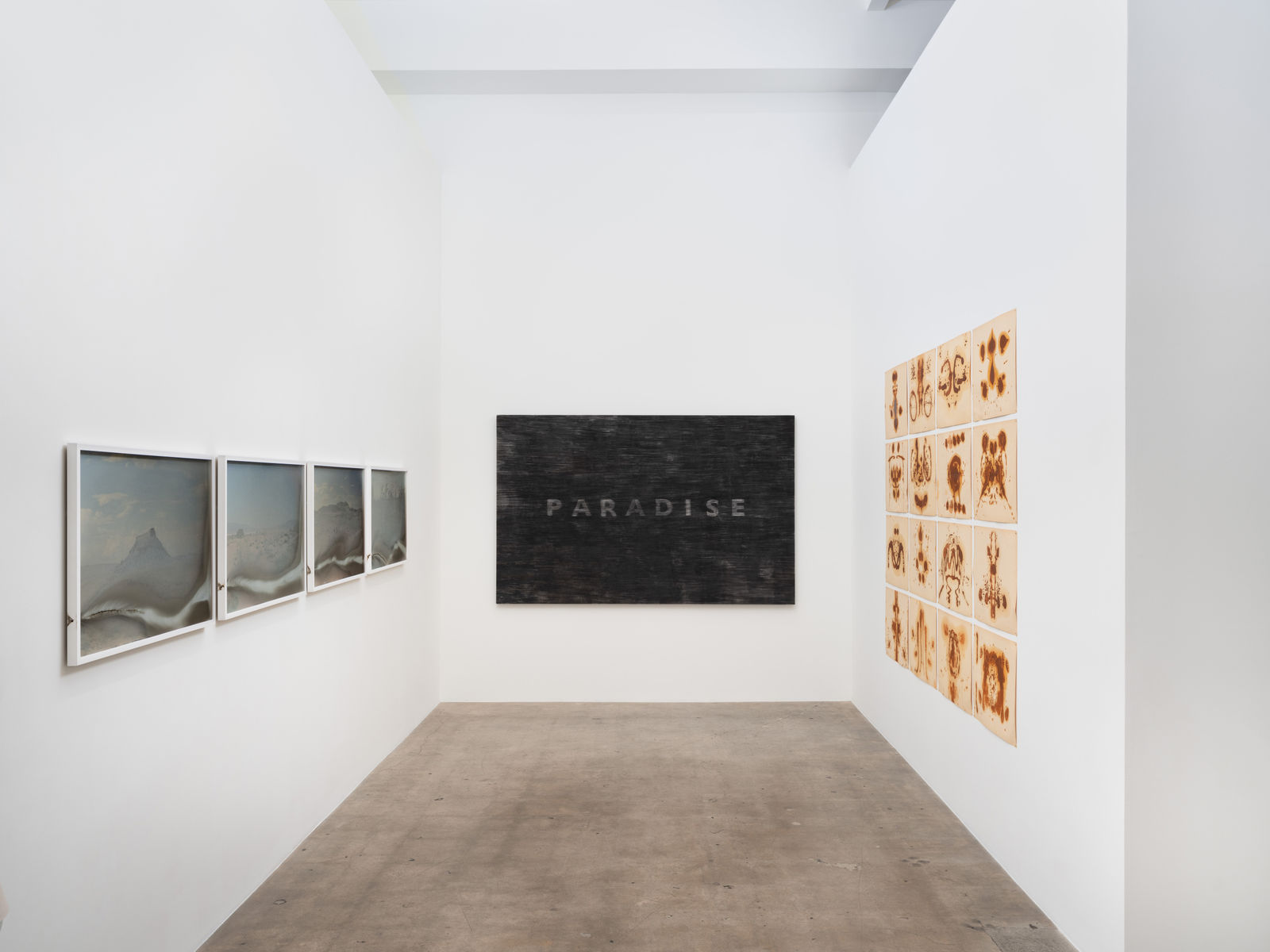 Ashanti Chaplin, Interior landscape (13), 2024