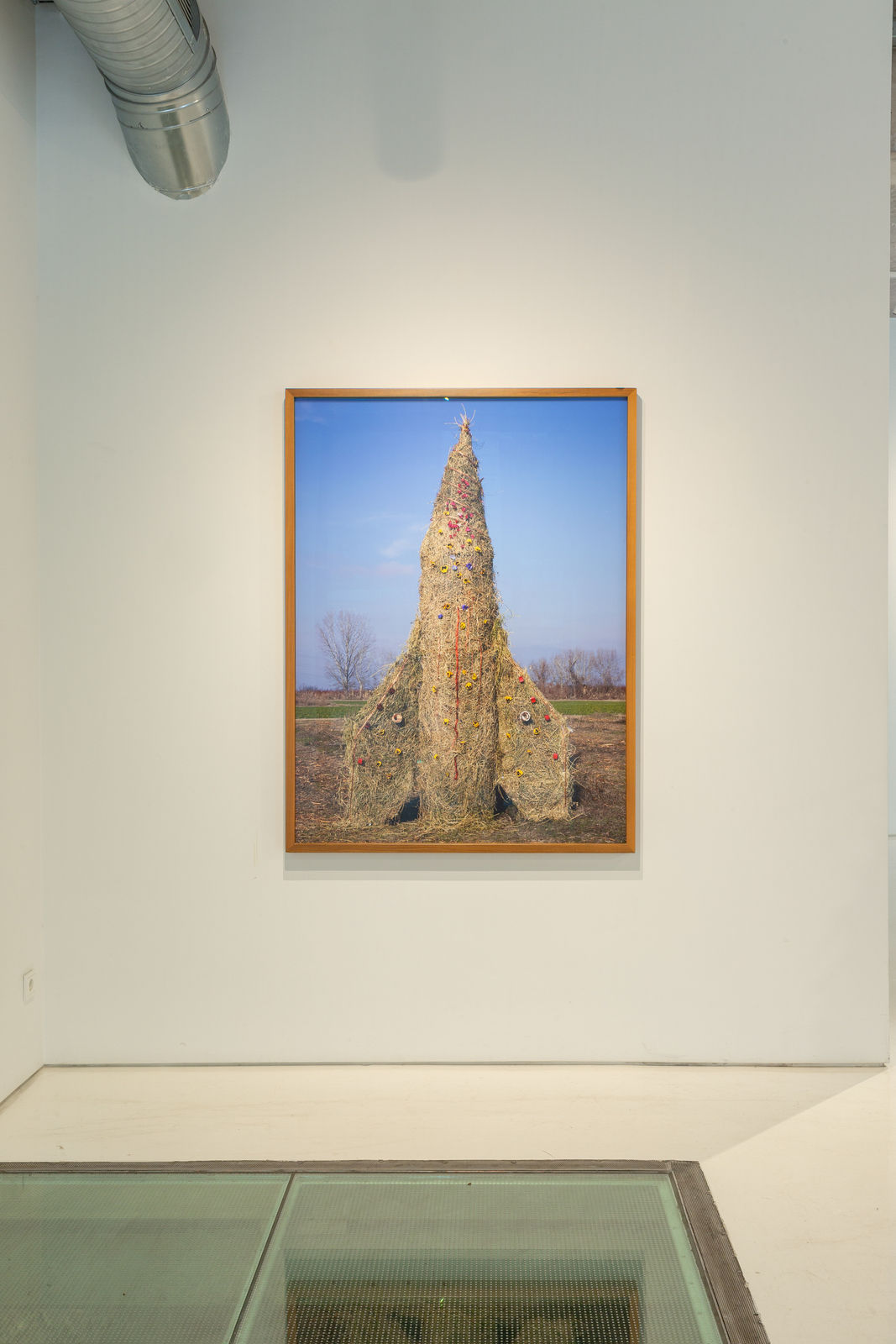 Petros Efstathiadis, Flowers, 2025