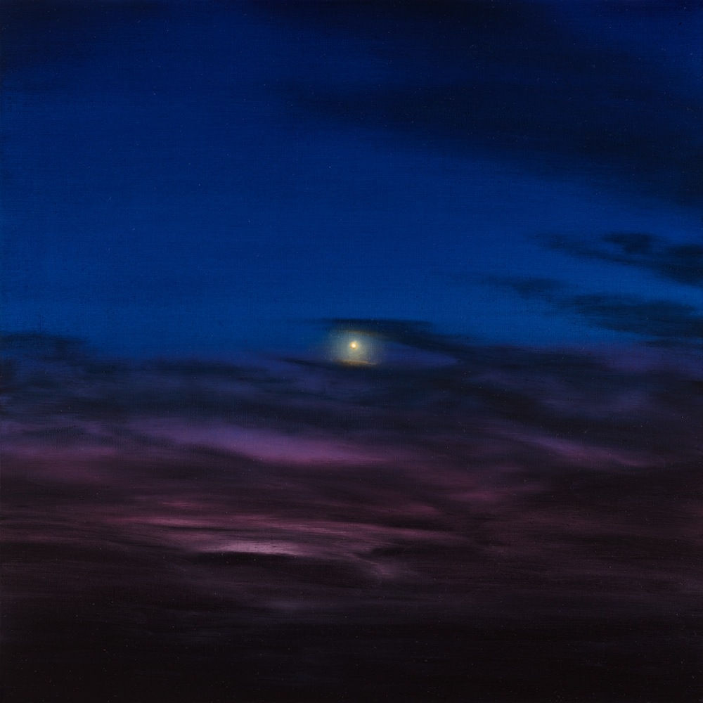 Damian Loeb, Venus Sets, 2017