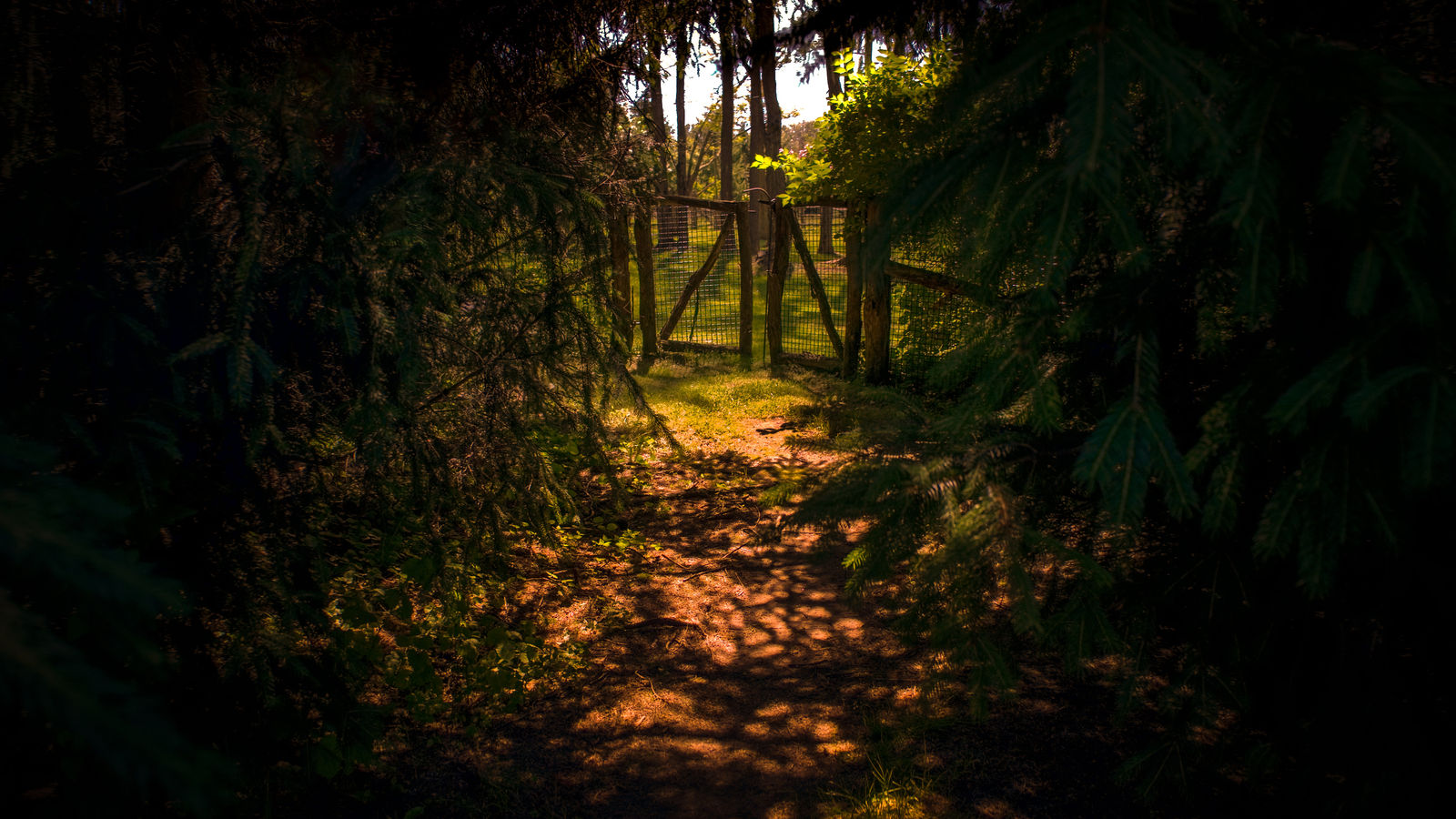 Damian Loeb, Pawling, NY, 2022