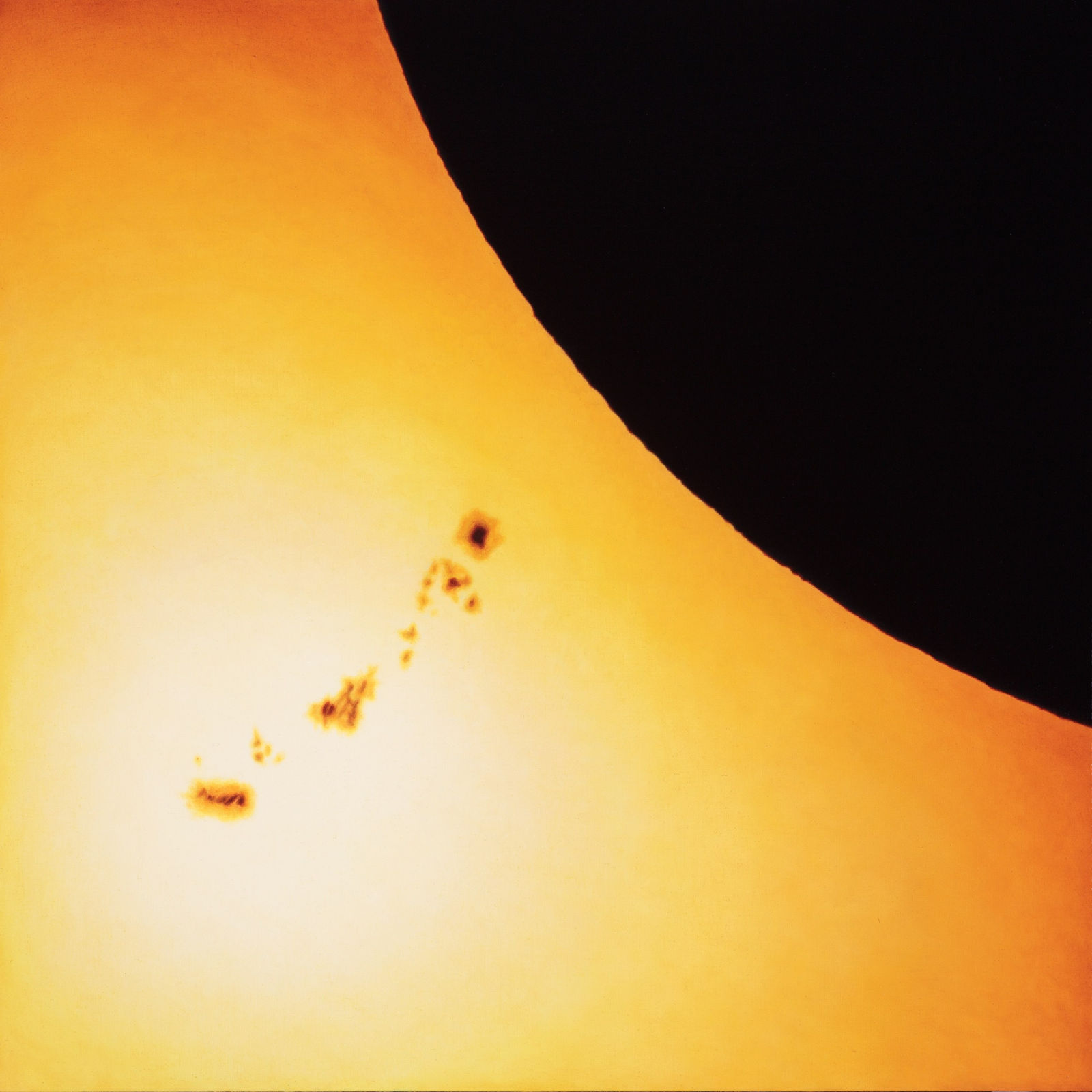 Damian Loeb, Deciphering Scars (I’m Not Afraid), 2019