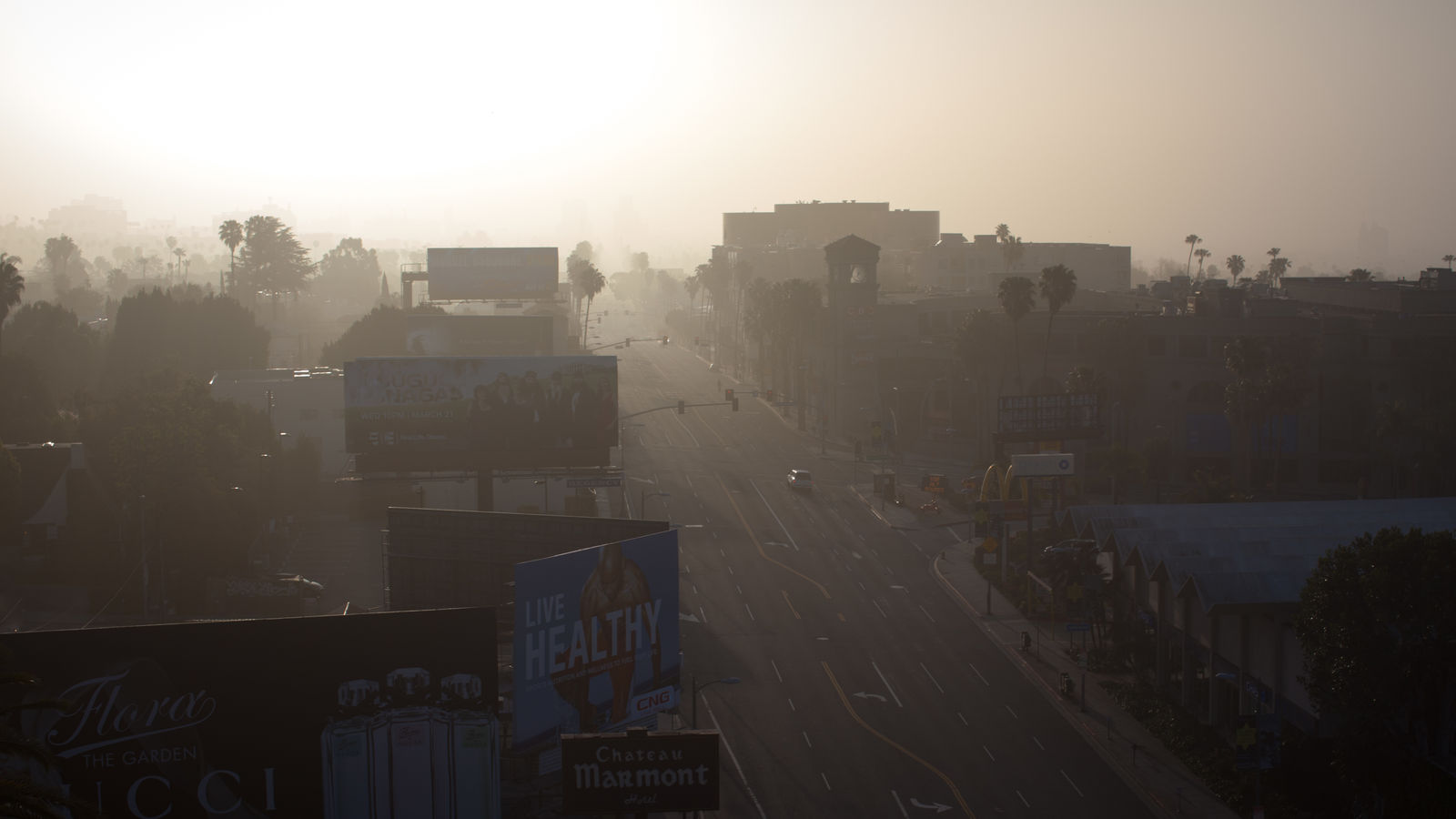 Damian Loeb, Sunset Boulevard, 2022